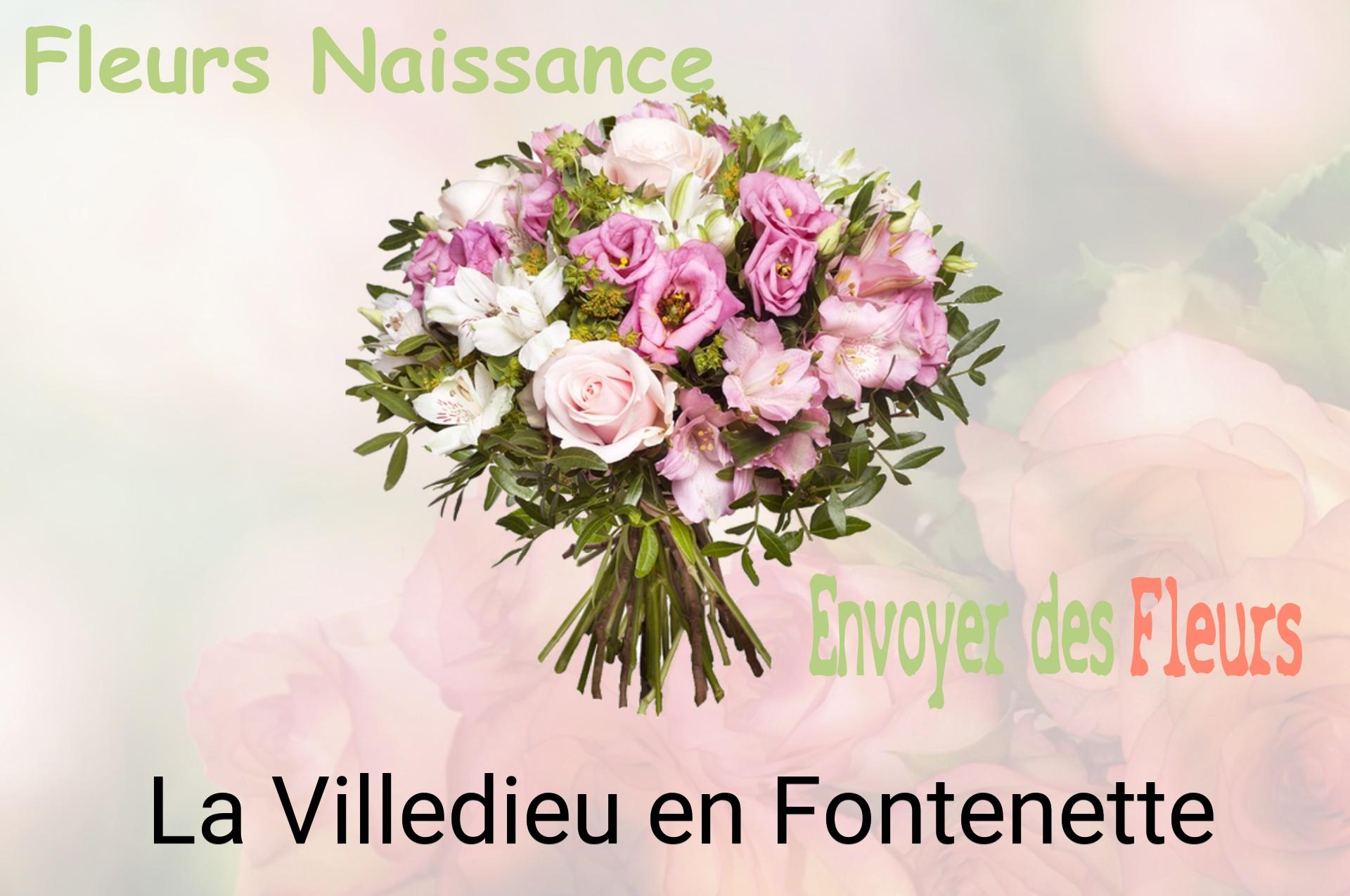 Bouquet de fleurs de naissance livré à La Villedieu-en-Fontenette